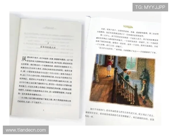 从文字到荧屏：小说改编电视剧的“魔力”与“陷阱”