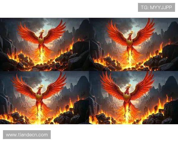 浴火重生，涅槃飞翔——《火凤凰》：一部燃爆青春的史诗